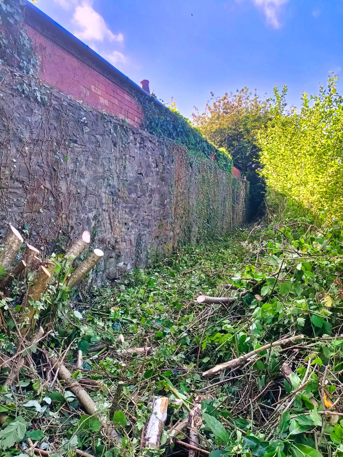 landscaping cardiff rhidian 11