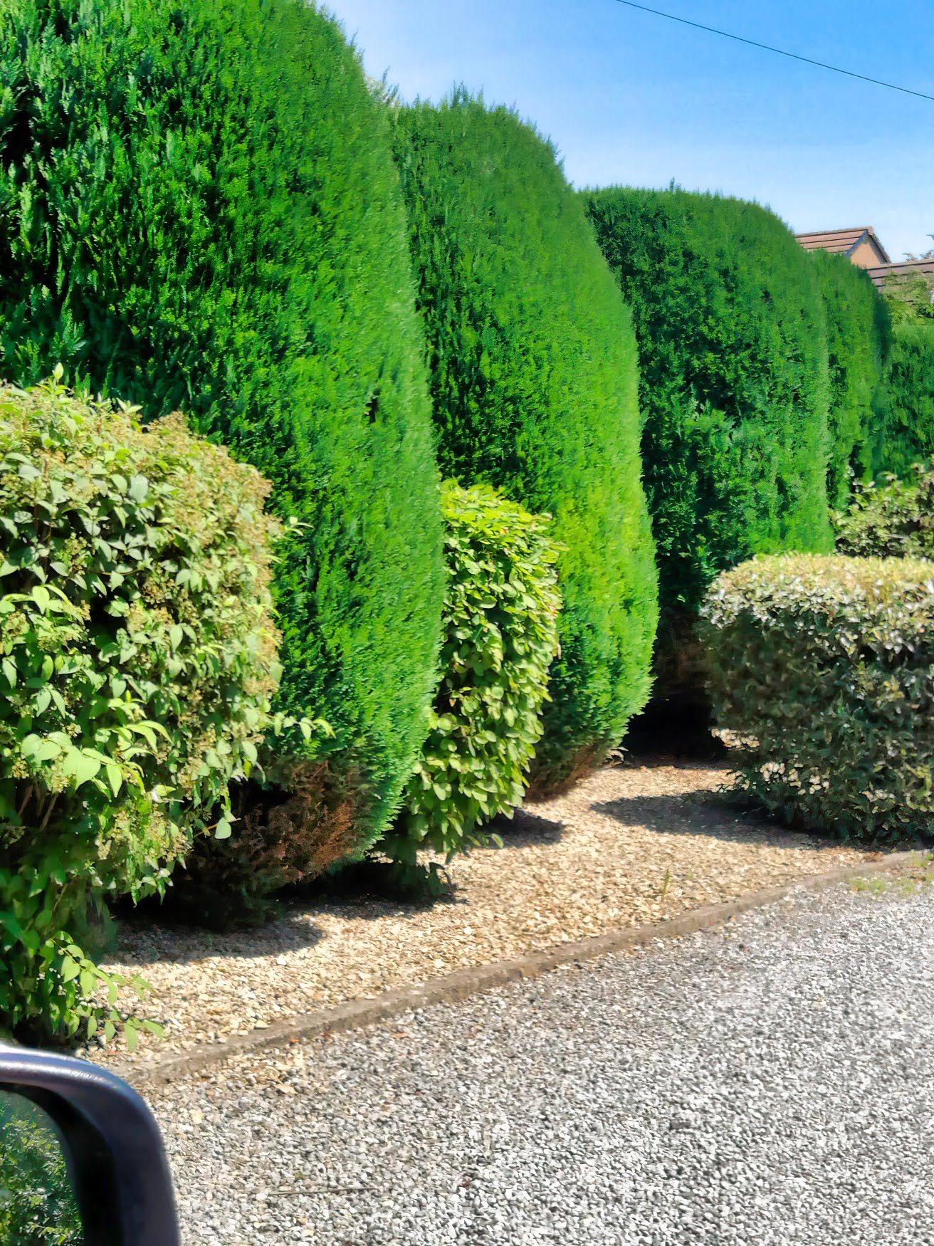 landscaping cardiff rhidian 21